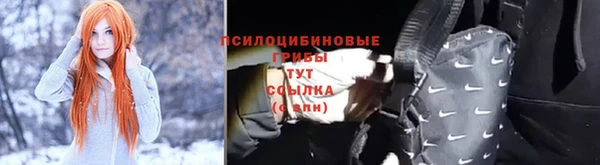 каннабис Каменногорск