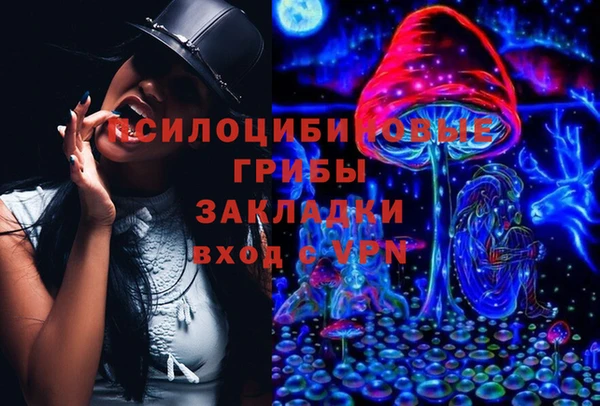 хмурый Касимов